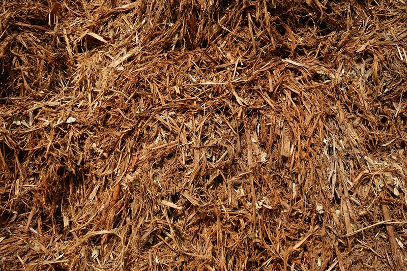 LINE_ALBUM_LKUN_๒๓๐๕๒๕_104 copy