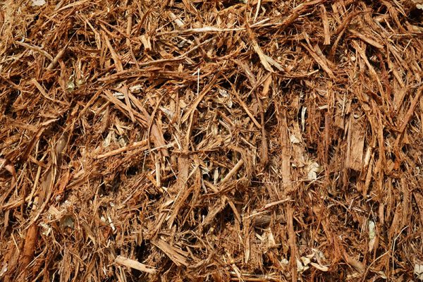 LINE_ALBUM_LKUN_๒๓๐๕๒๕_105 copy