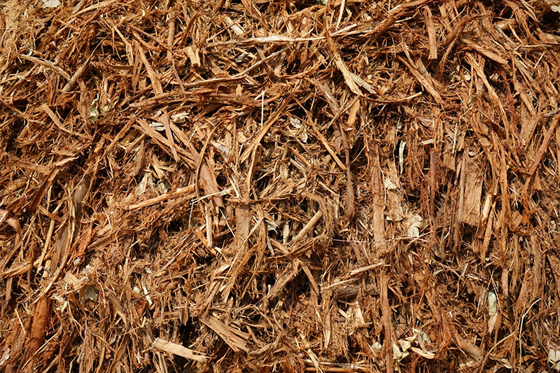 LINE_ALBUM_LKUN_๒๓๐๕๒๕_105 copy