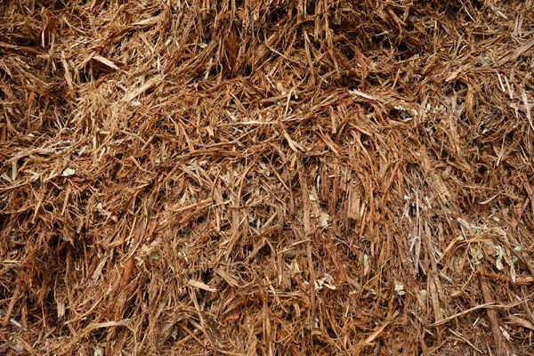 LINE_ALBUM_LKUN_๒๓๐๕๒๕_106 copy