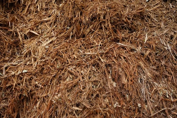 LINE_ALBUM_LKUN_๒๓๐๕๒๕_107 copy