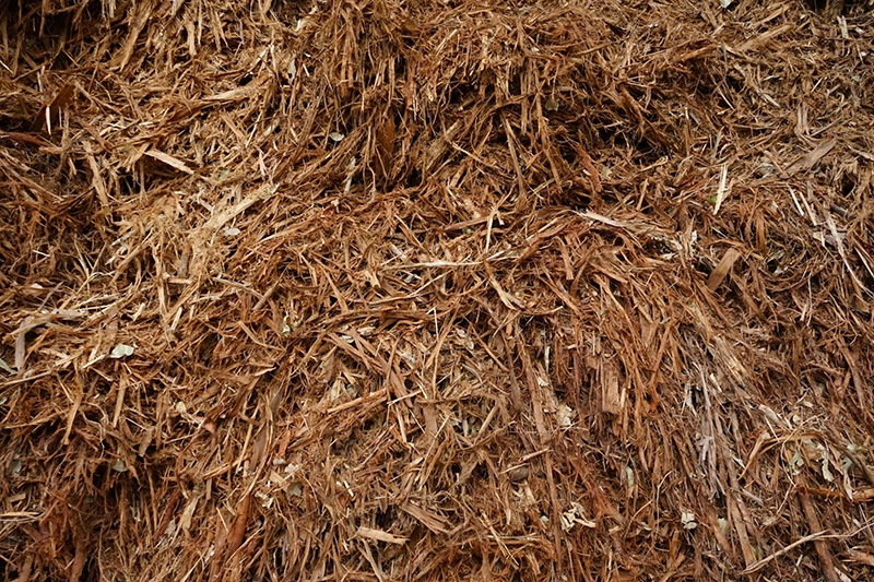 LINE_ALBUM_LKUN_๒๓๐๕๒๕_107 copy