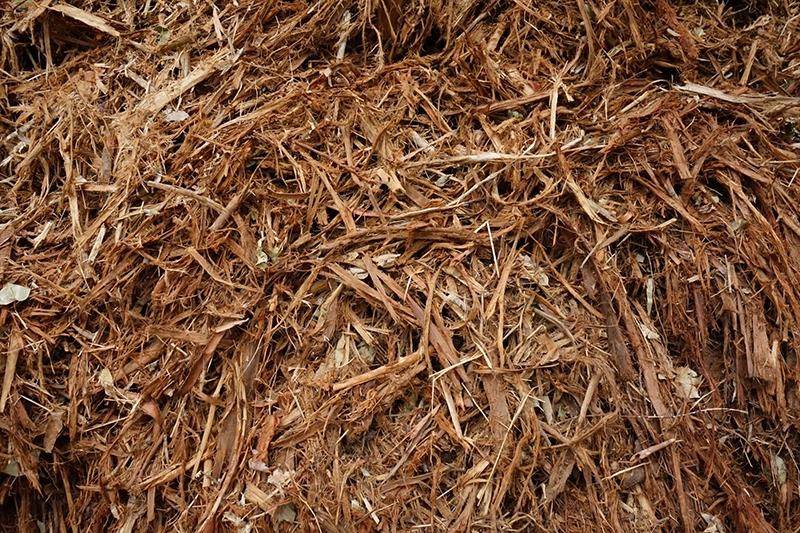 LINE_ALBUM_LKUN_๒๓๐๕๒๕_108 copy