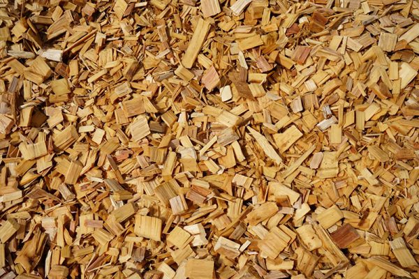 LINE_ALBUM_LKUN_๒๓๐๕๒๕_177 copy