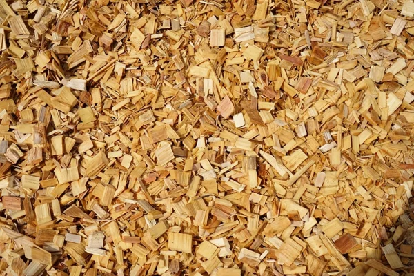 LINE_ALBUM_LKUN_๒๓๐๕๒๕_180 copy