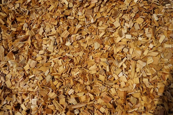 LINE_ALBUM_LKUN_๒๓๐๕๒๕_181 copy