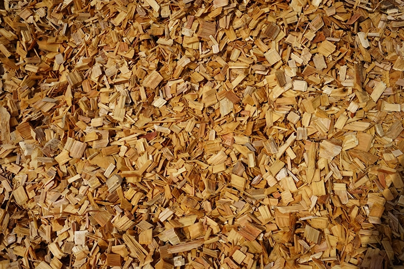 LINE_ALBUM_LKUN_๒๓๐๕๒๕_181 copy